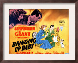 Bringing Up Baby  Katharine Hepburn  Cary Grant  1938