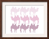 Pink Camel Family