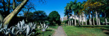 Park in a City  Caracas East Park  Caracas  Venezuela