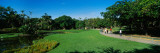 People in a Park  Caracas East Park  Caracas  Venezuela