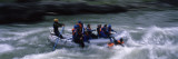 Tourists Rafting in The River  Snake River  Wyoming