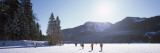 Group of People Playing On a Frozen Lake  Spitzingsee  Bavaria  Germany