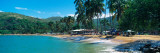 Trees On The Beach  Arapito Beach  Mochima National Park  Anzoategui State-Sucre State  Venezuela