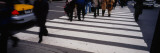Group of People Crossing at a Zebra Crossing  New York City