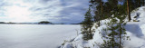Trees Along a Frozen Lake  Saimaa  Puumala  Southern Savonia  Eastern Finland