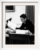 President  Ronald Reagan  April  1981