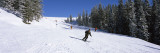 Tourists Skiing  Kitzbuhel  Westendorf  Tirol  Austria