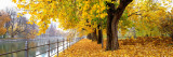 Autumn Scene  Munich  Germany