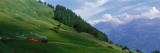 Steam Train Near Brienz  Switzerland