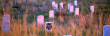 Little Bighorn Battlefield National Monument  Montana