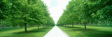 Avenue at Chateau De Modave  Ardennes  Belgium