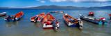 Fishing Boats in The Sea  Santa Fe  Mochima National Park  Anzoategui State-Sucre State  Venezuela