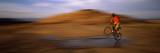 Mountain Bike Rider On a Trail  Slickrock Trail  Sand Flats Recreation Area  Moab  Utah