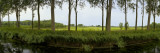 Channel Passing Through a Landscape From Brugge To Damme  Belgium
