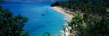 Trees On The Beach  Arapito Beach  Mochima National Park  Anzoategui State-Sucre State  Venezuela