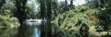 Bridge Across a Swamp  Magnolia Plantation and Gardens  Charleston