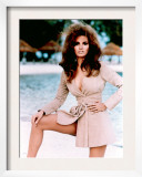 Raquel Welch  1970s