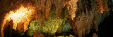 Calcite Formations in Cave Interior  Carlsbad Caverns National Park  New Mexico
