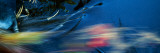 Fallen Pine Needles and Autumn Color Leaves Floating Downstream  Blurred Motion  New York