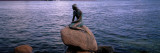 Little Mermaid Statue On Waterfront  Copenhagen  Denmark