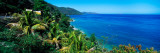 Trees On The Beach  Arapito Beach  Mochima National Park  Anzoategui State-Sucre State  Venezuela