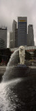 Fountain With Office Buildings in The Background  Merlion Statue  Merlion Park  Singapore River