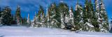 Snowmobiling in Yellowstone National Forest