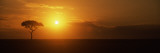Sunrise Over a Landscape  Masai Mara National Reserve  Kenya