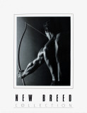 The Male Archer