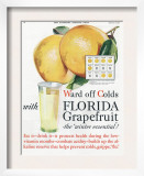 Florida Grapefruit  Colds Flu Fruit  USA  1920