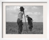 Cotton Sharecroppers Weeding their Small Cotton Crop in Greene County Georgia