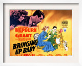 Bringing Up Baby  Katharine Hepburn  Cary Grant  1938