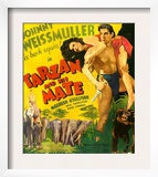 Tarzan and His Mate  Maureen O'sullivan  Johnny Weissmuller  1934