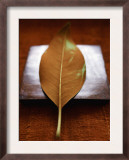 Sepia Leaf