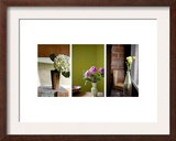 Spring's Stems Triptych