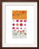 Zinnias Triptych