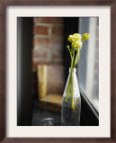 Buttercups at Window