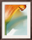 Dark Orange Lily Profile