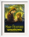 Sparrows  1926