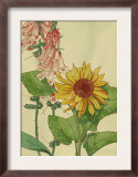Sunflower and Foxglove