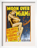 Moon over Miami  Betty Grable on Window Card  1941