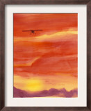 Airplane in Orange Sunset