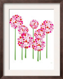 Pink Allium