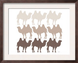 Brown Camel Family