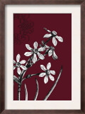 Black and White Flowers