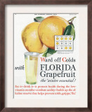 Florida Grapefruit  Colds Flu Fruit  USA  1920