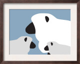 Blue Sheep