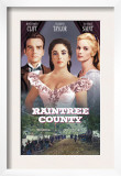 Raintree County  Montgomery Clift  Elizabeth Taylor  Eva Marie Saint  1957