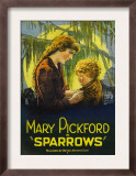 Sparrows  1926