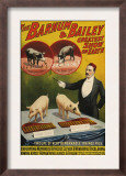Barnum and Bailey  Poster  1900